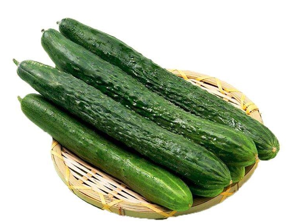 泰州黄瓜