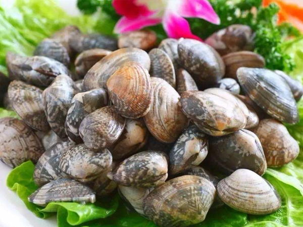 花蛤