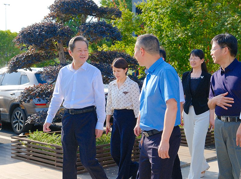 省政协副主席虢正贵来桃花江竹材调研，公司董事长陪同介绍